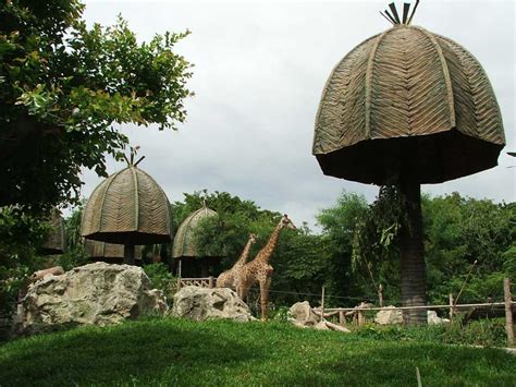 10 CLOSEST Hotels Near Dusit Zoo .